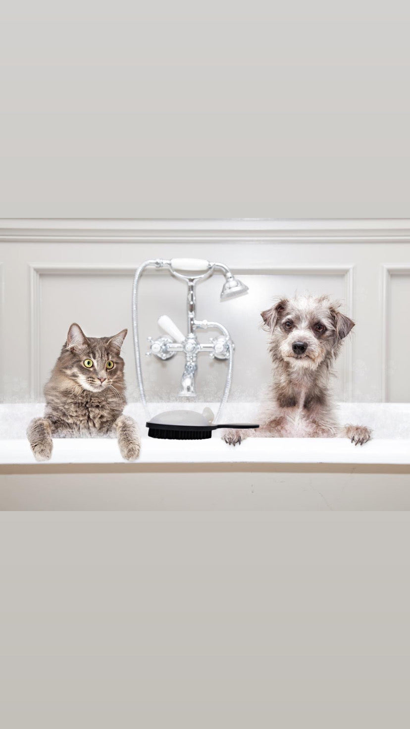 The Benjamin Brush Medium Bristles