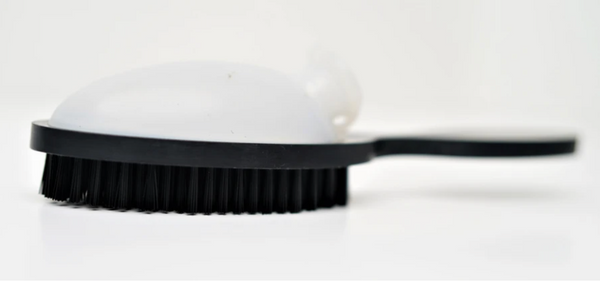 The Benjamin Brush Medium Bristles